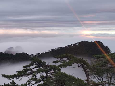 Huangshan: A paradise hidden among the mountain peaks and clouds